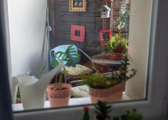 Apartament U Olechny 4